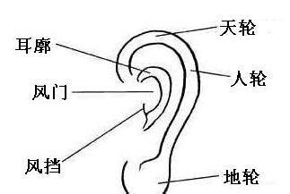 福耳面相|从耳朵看面相｜5点耳朵形状及特征，一窥性格与运